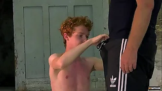 10258 cock porn videos